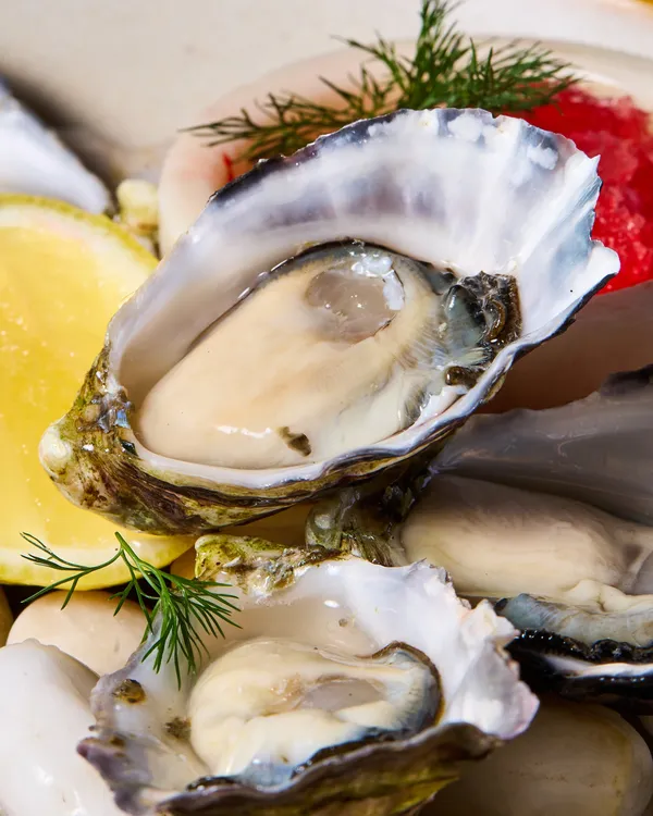 Shucked oysters with dill and lemon, close up